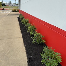 Commercial-Mulching-Services-in-Oxford-MS-and-Surrounding-Areas 5